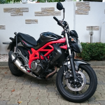 2 x Suzuki Gladius 650